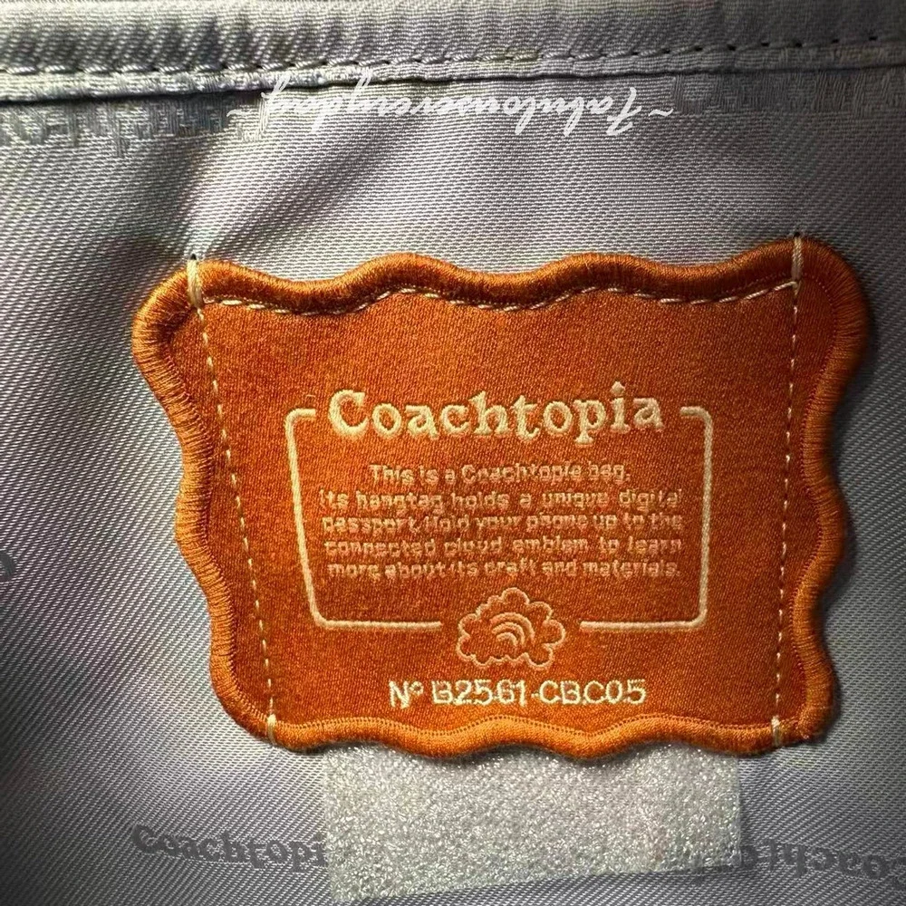 Coach Coachtopia Loop Mini Tote Crossbody Light Twilight CBC05 NWT